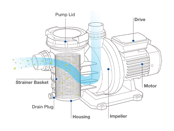 Introduction to pool circulating pump structure